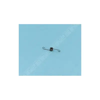 Ressort Clapet Filtre CN RE4400IQ (Zodiac)