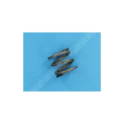 Ressort Inox VANNE 1'1/2 -  (STA-RITE)