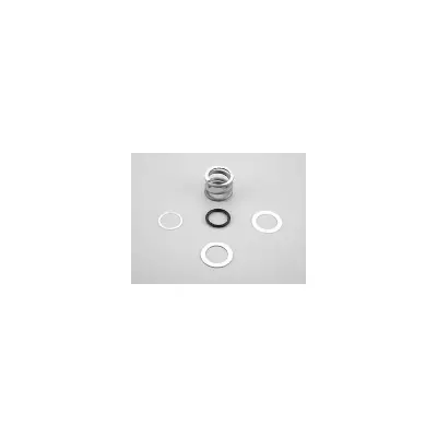 Ressort VANNE NM 1''1/2 + joint + rondelles - Remplace 101D533, CE04121103, PS610109, 19028-0205