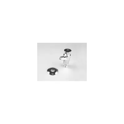 ROBINET BOUTON POUSSOIR (Douche 1 pomme.bac.robi tempo ASTRAL)