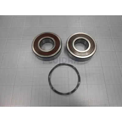 Roulement PPE Kivu 7.5-10 CV (Astralpool)