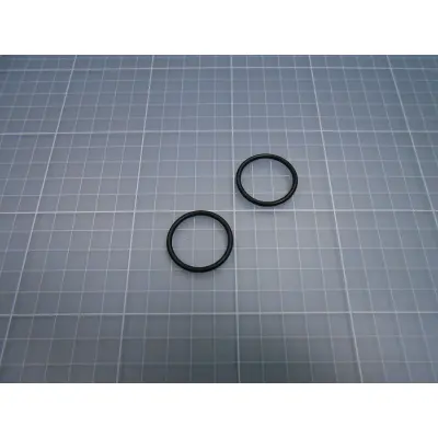 Set de 2 joints toriques pour bras non fileté (ASTRALPOOL)