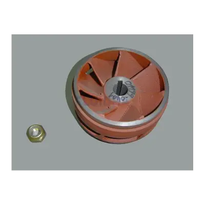 Turbine fonte PPE C-3000 5.5CV 50Hz avec écrou (ASTRAL)