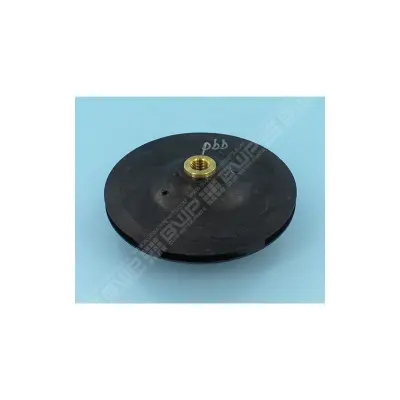 Turbine PPE 5BR - 0.75 Kw Mono (STA-RITE)
