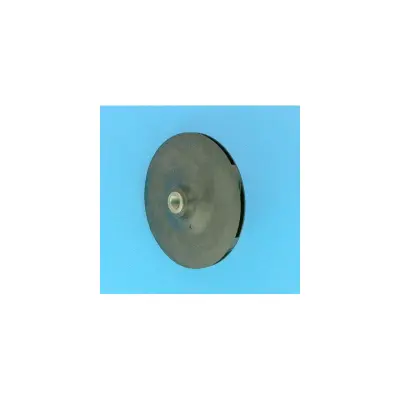 Turbine PPE 5BR - 1.10 Kw Mono (STA-RITE)