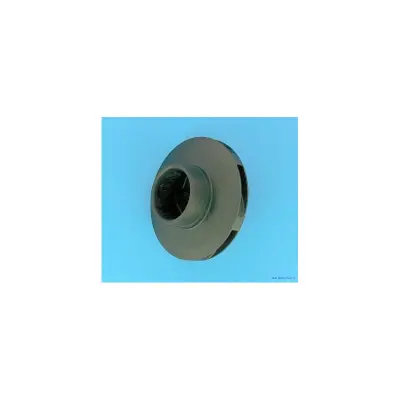 Turbine PPE 5P4R/5P6R - 1.10 Kw Tri/Mono (STA-RITE)