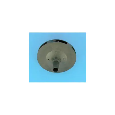 Turbine PPE 5P4R/5P6R - 1.50 Kw Tri/Mono - Remplace RC105238PLBAS (STA-RITE)