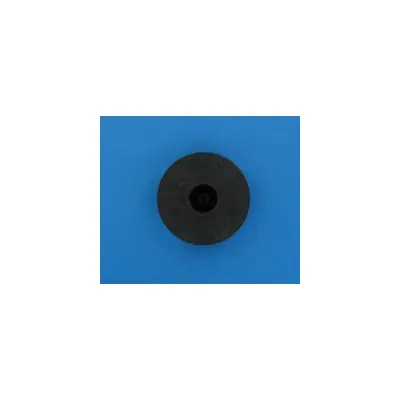 Turbine PPE Challenger 0.55KW (PENTAIR)