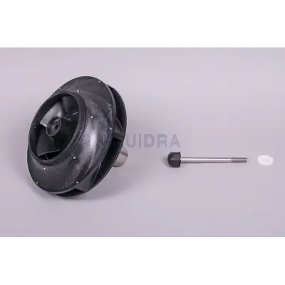 Turbine PPE Kivu 15 CV (Astralpool)