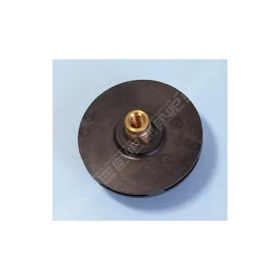 Turbine PPE Power-Flo II 0.25 CV (HAYWARD)