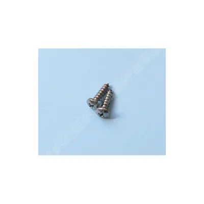 Vis 19 mm (3/4'')  pour Polaris 65/65T/165/165T. sachet de 2 unités (Polaris)