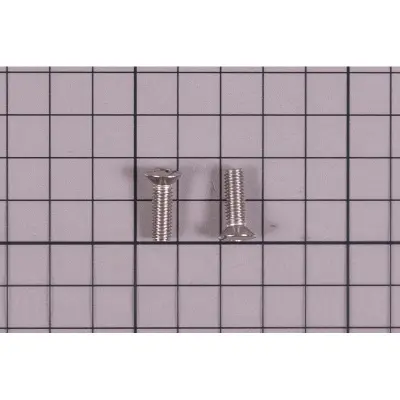 Vis de fixation grille BDF (Astralpool)