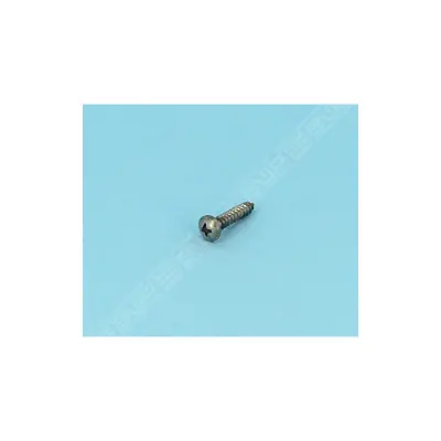 Vis de régulateur 4.6 x 23L de Skimmer (PENTAIR)