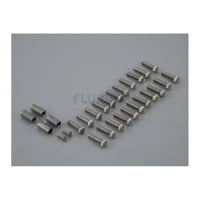 Vis facade inox double