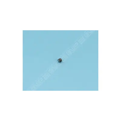Vis inox sans tête pour charnière de coffret de commande (Zodiac)