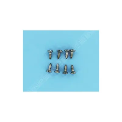 Vis lentille (sachet de 8 vis) - (Hayward)