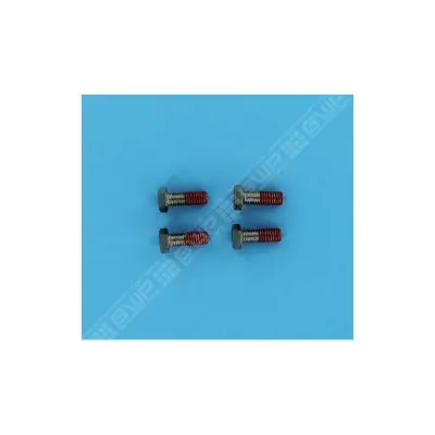 Vis Plateau d'Assemblage PPE (Challenger. Pinnacle. Whisperflo. Superflo) (PENTAIR)