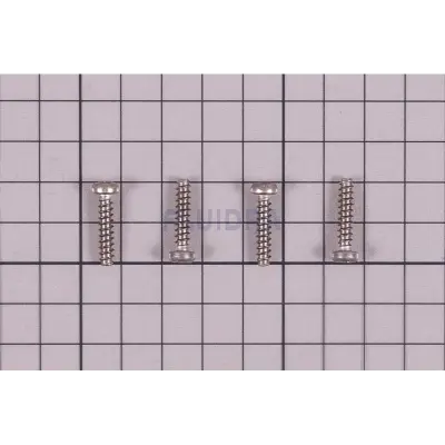 Visserie de projecteur Flexi (Astralpool)