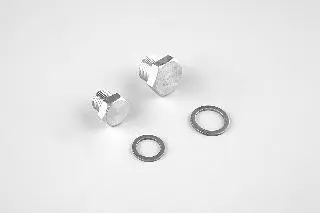 Bouchon de vidange PPE Fonte 3000 tr/mn - 5,5 à 15 CV, x2, avec joints