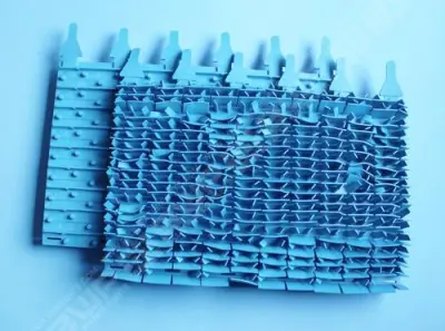 Brosses lamelles bleues (x2)