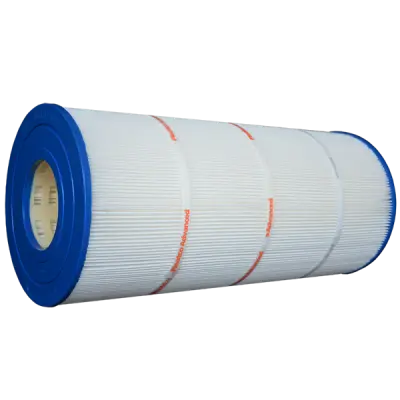 Cartouche Pentair Purex DM-120