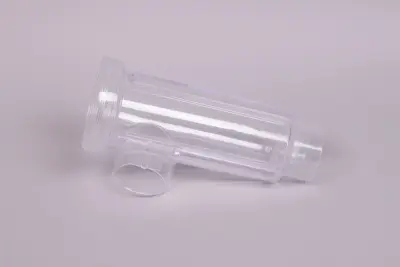 Corps Cellule