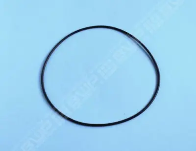 Joint Bornier 218,5x4,5 mm pour vanne Net'N'Clean