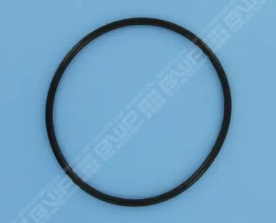 Joint de couvercle PPE 5P6R/SW5P6R/Intelliflo SW5P6R-VS