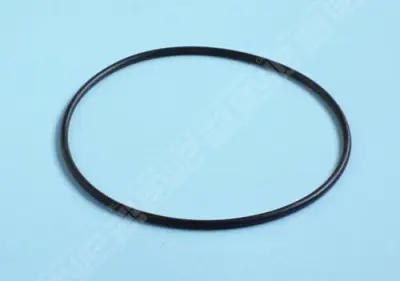 Joint torique 164,5x4,8 mm pour vanne 2" (E-27-2029) TRITON Sup. /TAG