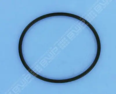 Joint torique de couvercle 105x5 mm PPE Picco
