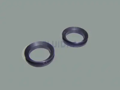 Joint V-Rings Va 2,5 - 3 Hp mono (x2) pompe Swimflo HGS