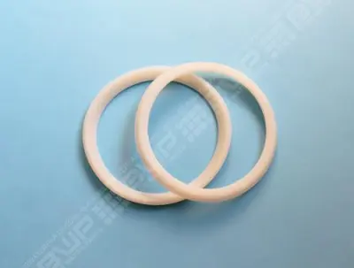 Joints d'ampoule PROJ Ady/Série France 136x111 mm (x2)