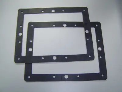 Joints de bride pour skimmer PM (x2)