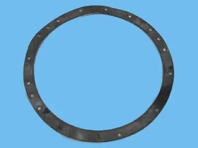 Joints de bride PROJ Incand.300W (x2) - COFIES