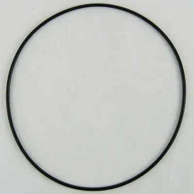 O-Ring 261 - joint de flasque Executive