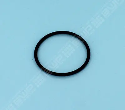 O-ring, union
