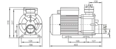 Pompe de massage 1,50CV mono-vitesse 230V/50Hz