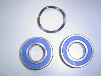 Roulements (x2) PPE Maxim 5,5 CV