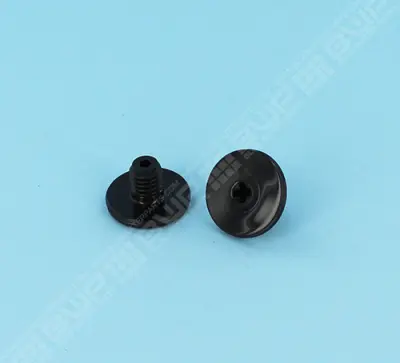 Vis de maintien noires (x2) Quattro