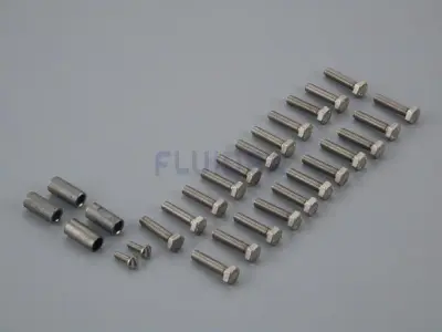 Vis facade inox double