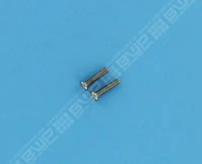 Vis Ss10-32X7/8 Pan M/S (x2)