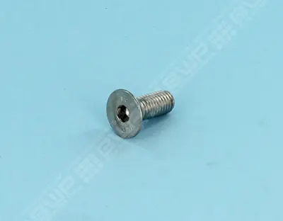 Vis TFHC M10x25 inox