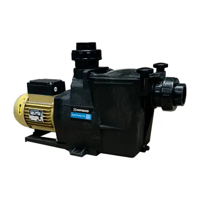 Pompe de filtration Super Pump Pro 2"