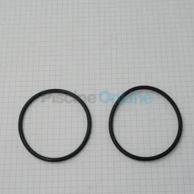 Joints (diamètre ext. 65 int. 59) de Liaison Vanne Filtre à sable MicroClear. Super Star Clear. Top/S. Polyester - (la paire) (SX200Z4PAK2)