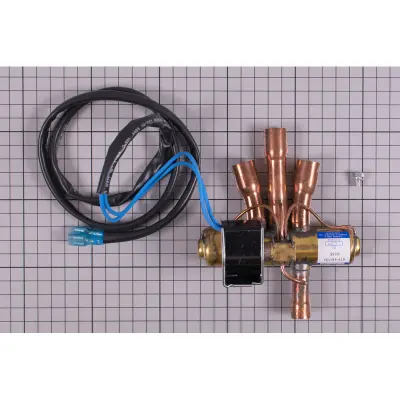 Vanne 4 voies PAC PRO ELYO (ZX112600009)