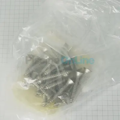 Vis de bride et d'enjoliveur projecteur x25 (CERTIKIN) (SPC438P/25)