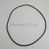 1210486-joint-couvercle-pour-filtre-a-sable-mod-2000-12-trous-1764243702081.png