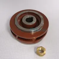 1783608272730.jpg
