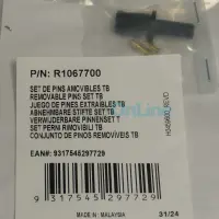 1786360018609.jpg