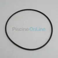 2921-141-220-joint-torique-pour-corps-de-pompe-190-x-5-5-mm-1763550986013.png